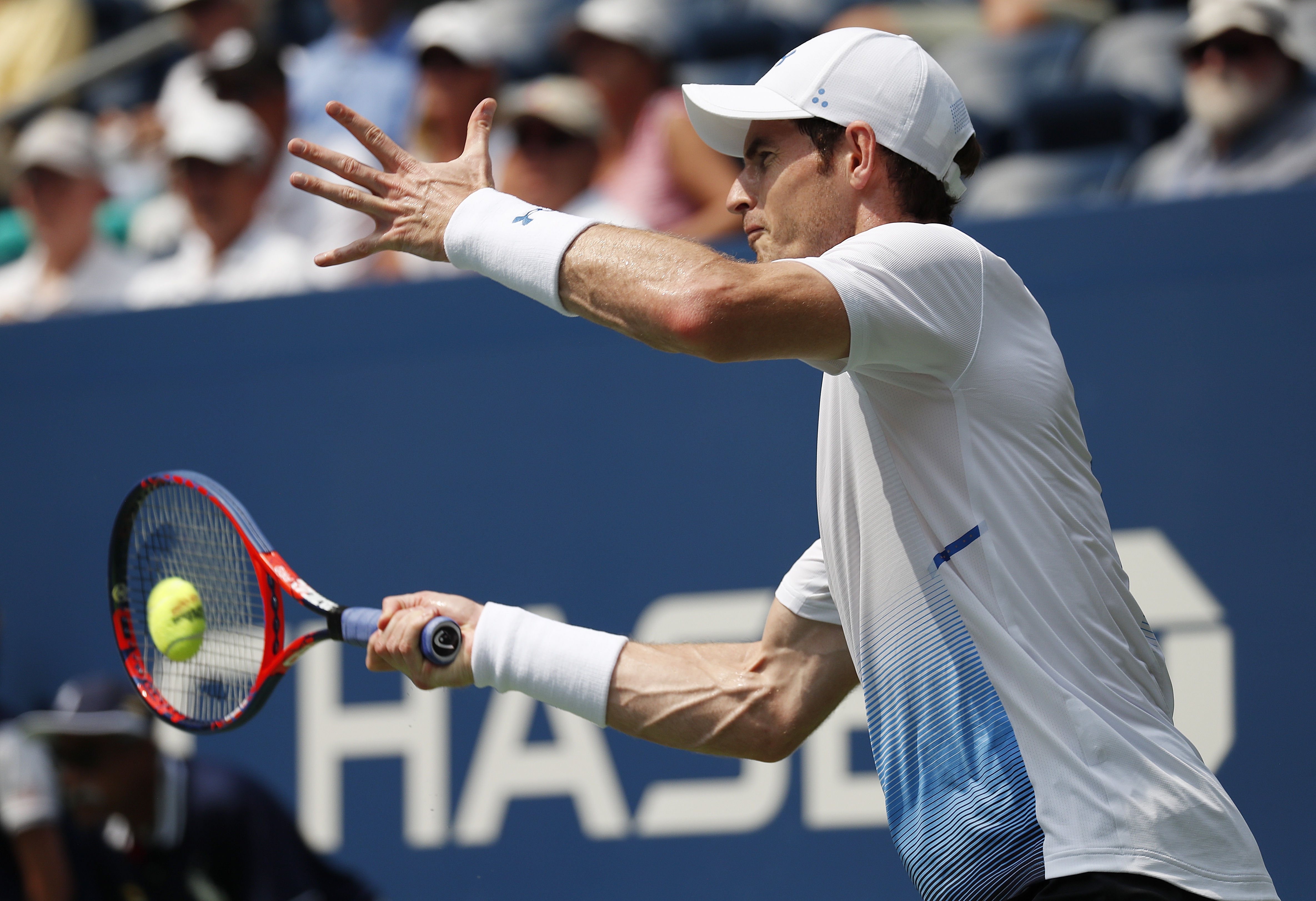 日本网球队血洗英国网球队，穆雷打破历史纪录