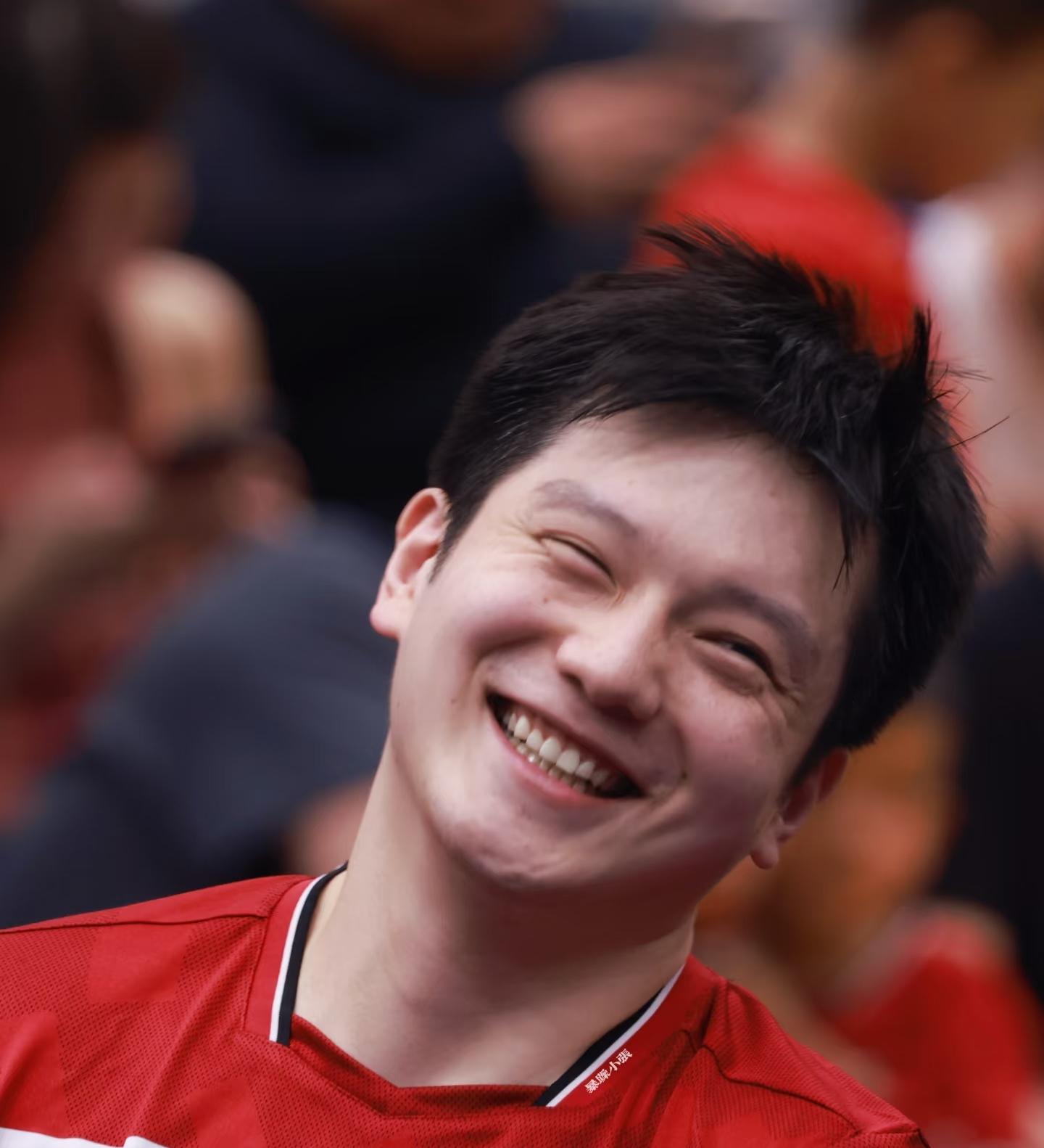 奥地利队绝杀瑞典队，樊振东扛起全队