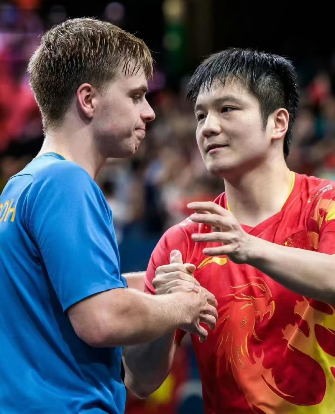 韩国队翻盘法国队，樊振东点燃赛场