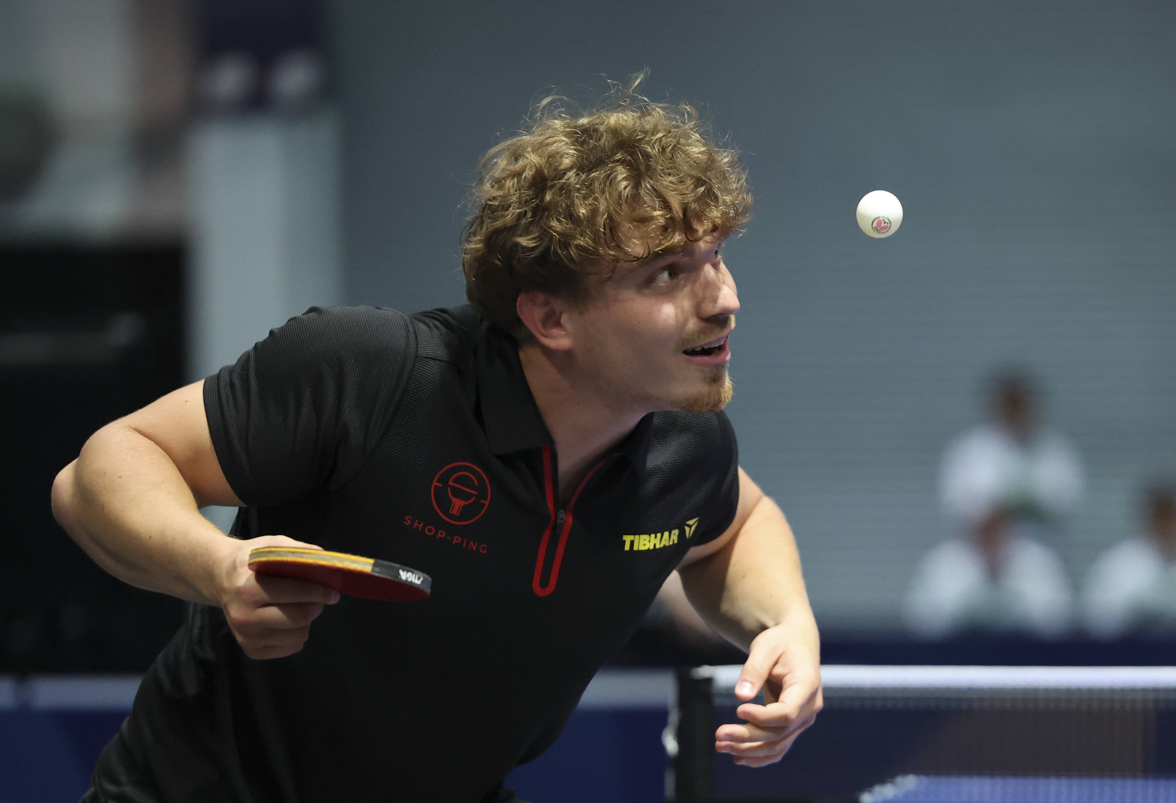 比利时乒乓球队险胜波兰乒乓球队，许昕高光表现的简单介绍