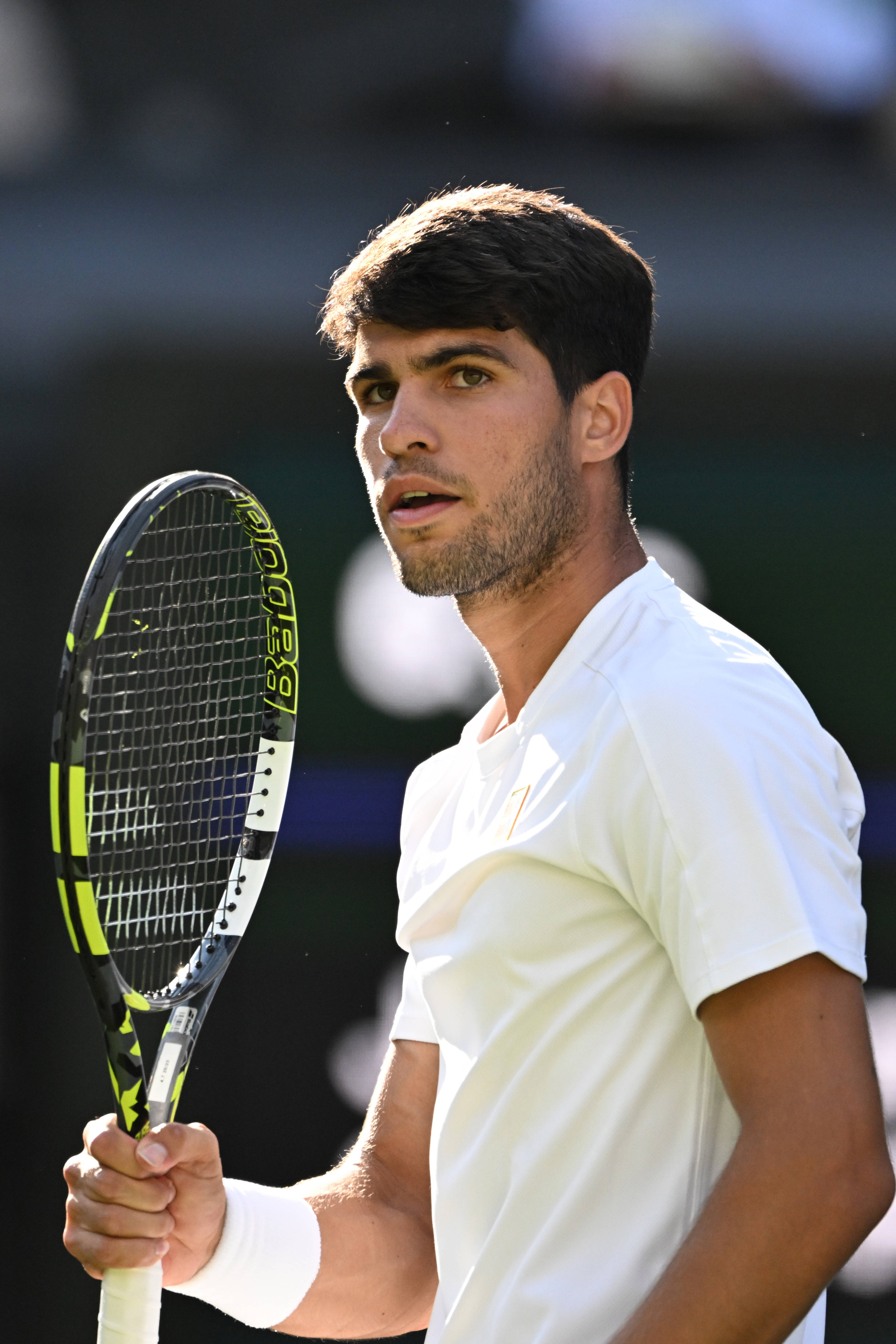 关于美国网球队碾压澳大利亚网球队,阿尔卡拉斯惊艳世界的信息 关于美国网球队碾压澳大利亚网球队,阿尔卡拉斯惊艳世界的信息