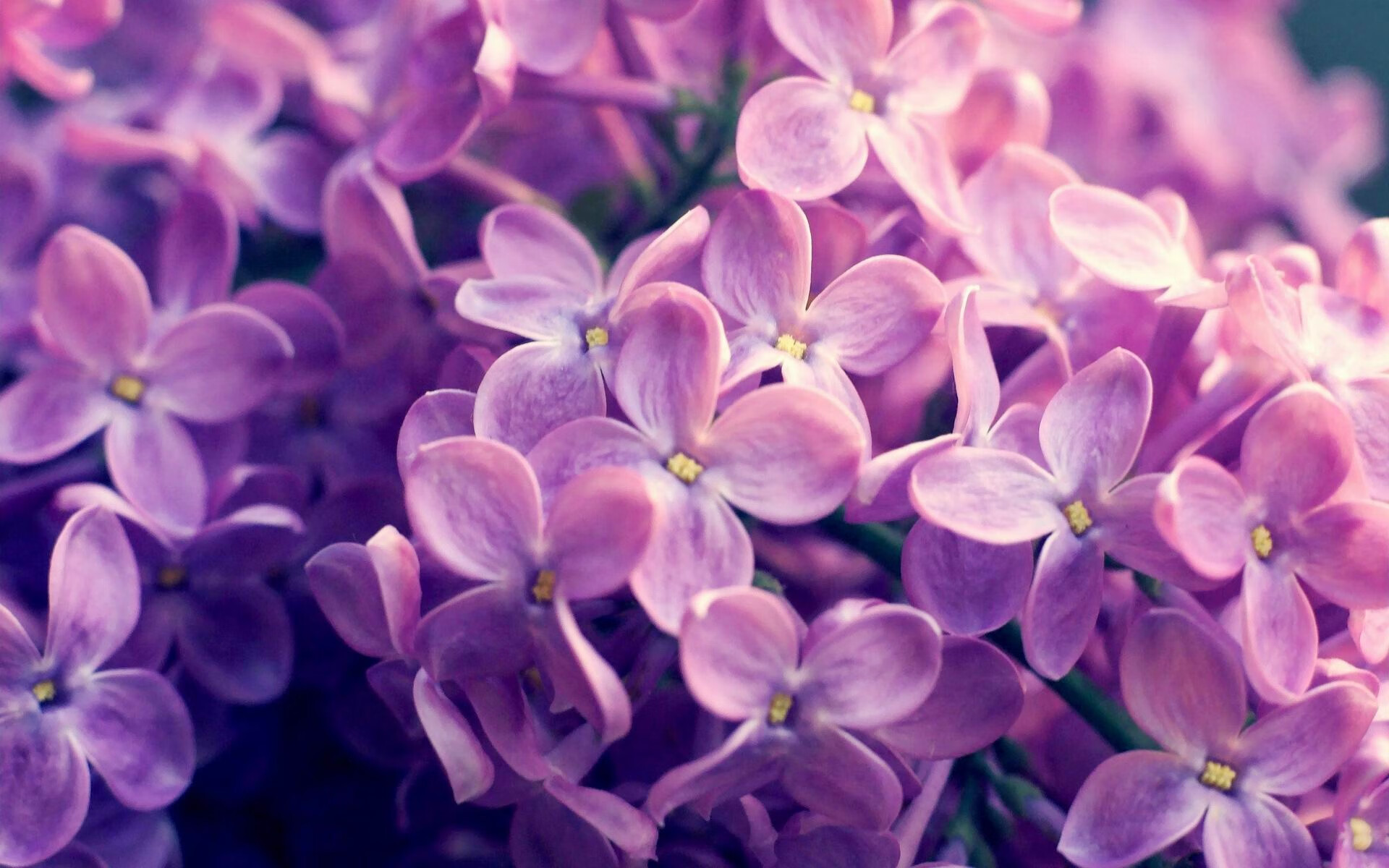 跨洋对决，广东队抢七力克森林狼，改写篮球历史的一夜