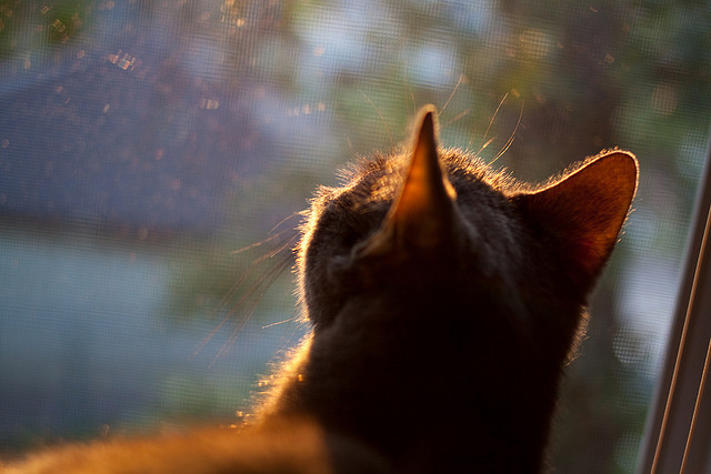 乌拉圭力克比利时，哈弗茨成为关键先生，一场战术与意志的胜利