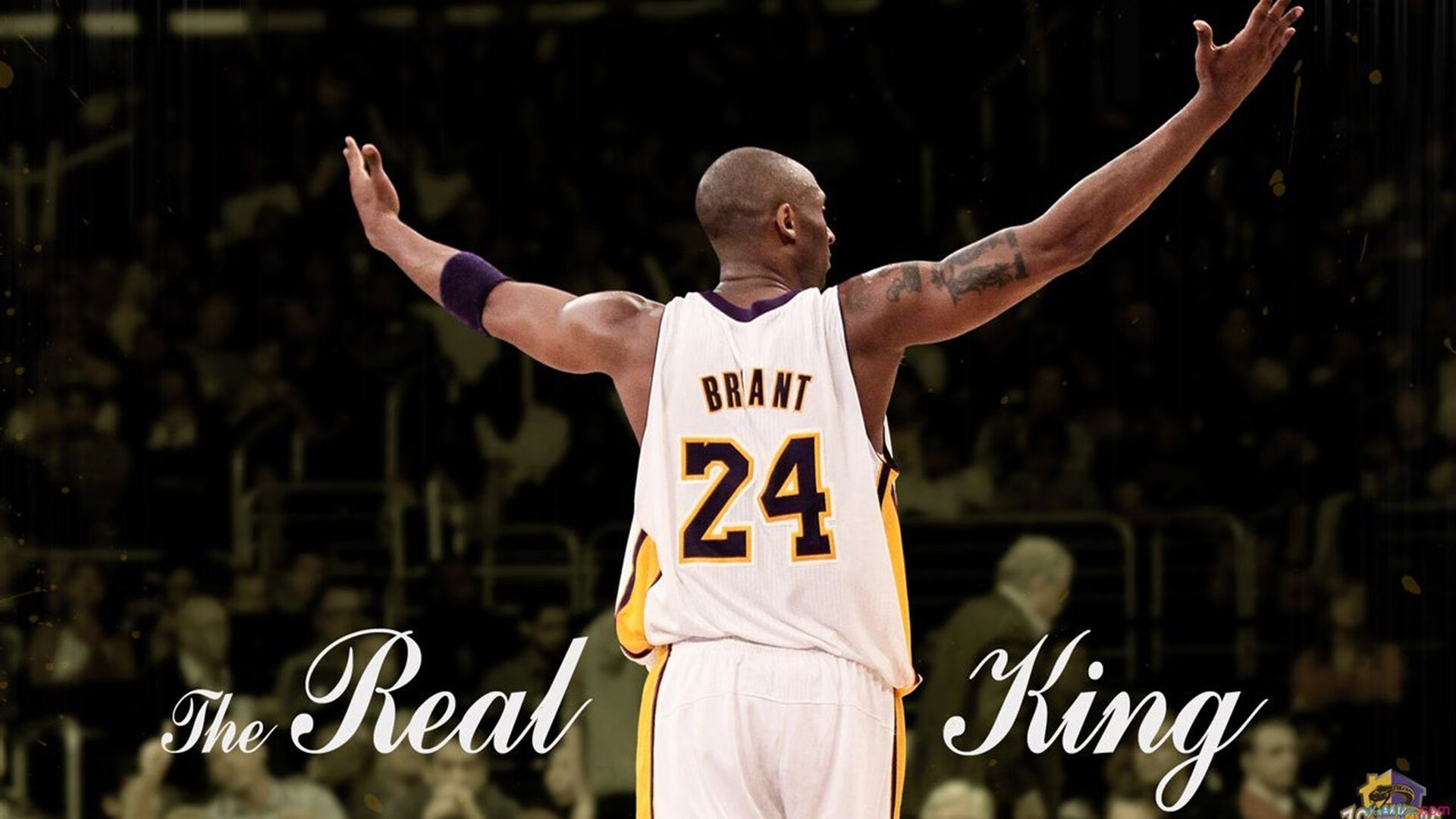 绝境铸就传奇，布雷默一锤定音，希腊神话再续新章