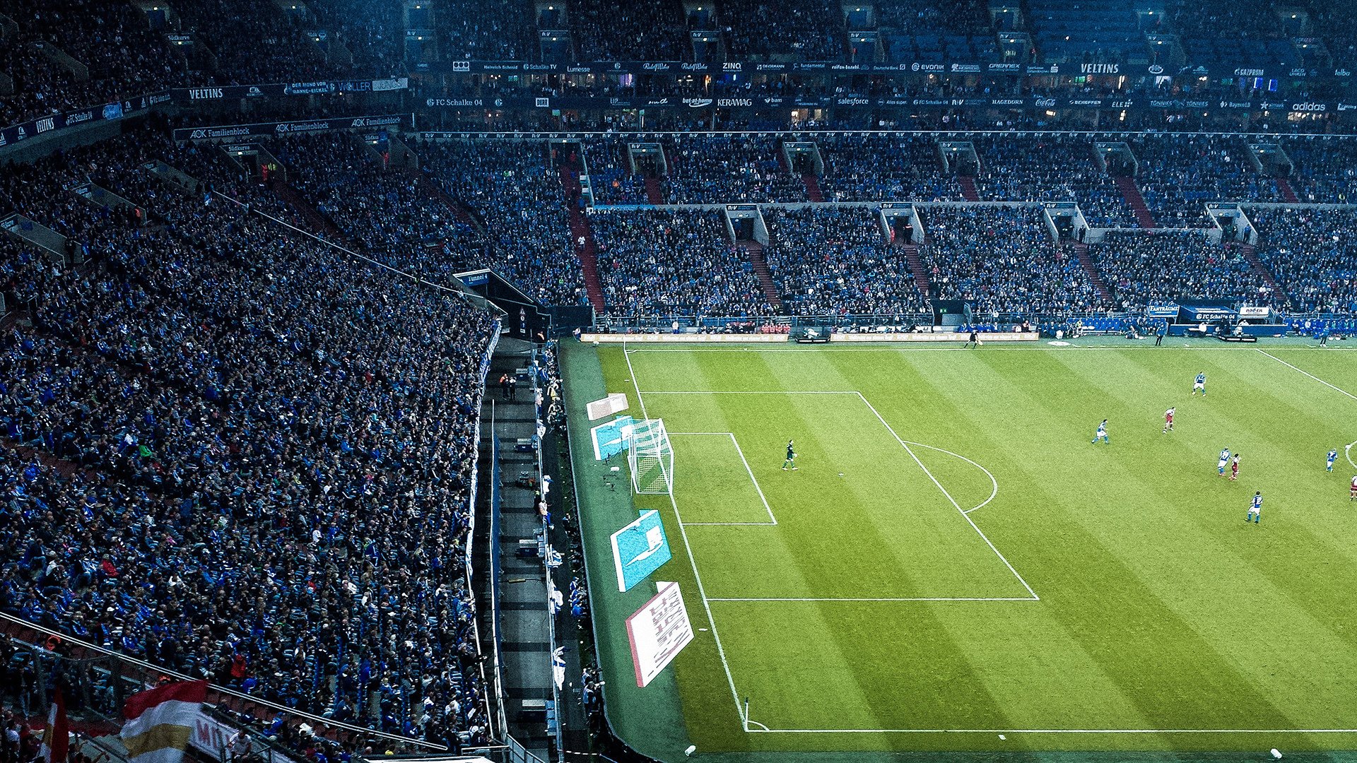 温网完胜法网，穆雷高光表现背后的草场传奇